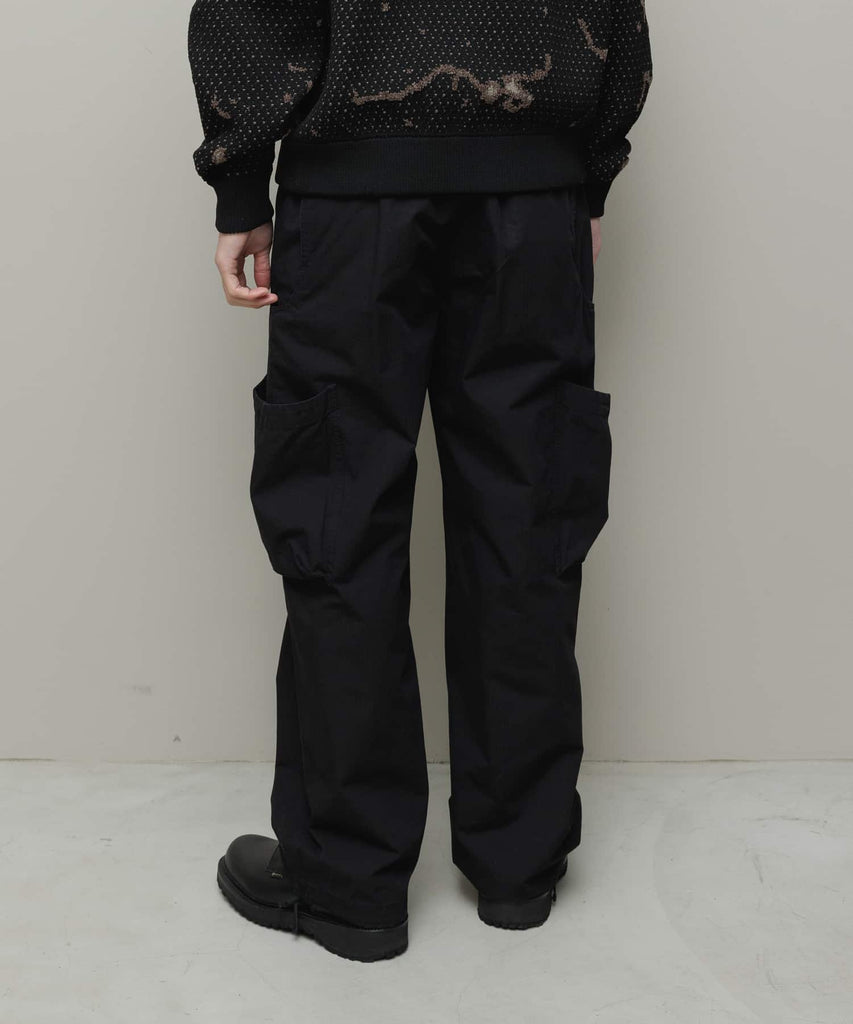 CURV POCKET FIELD CARGO PANT