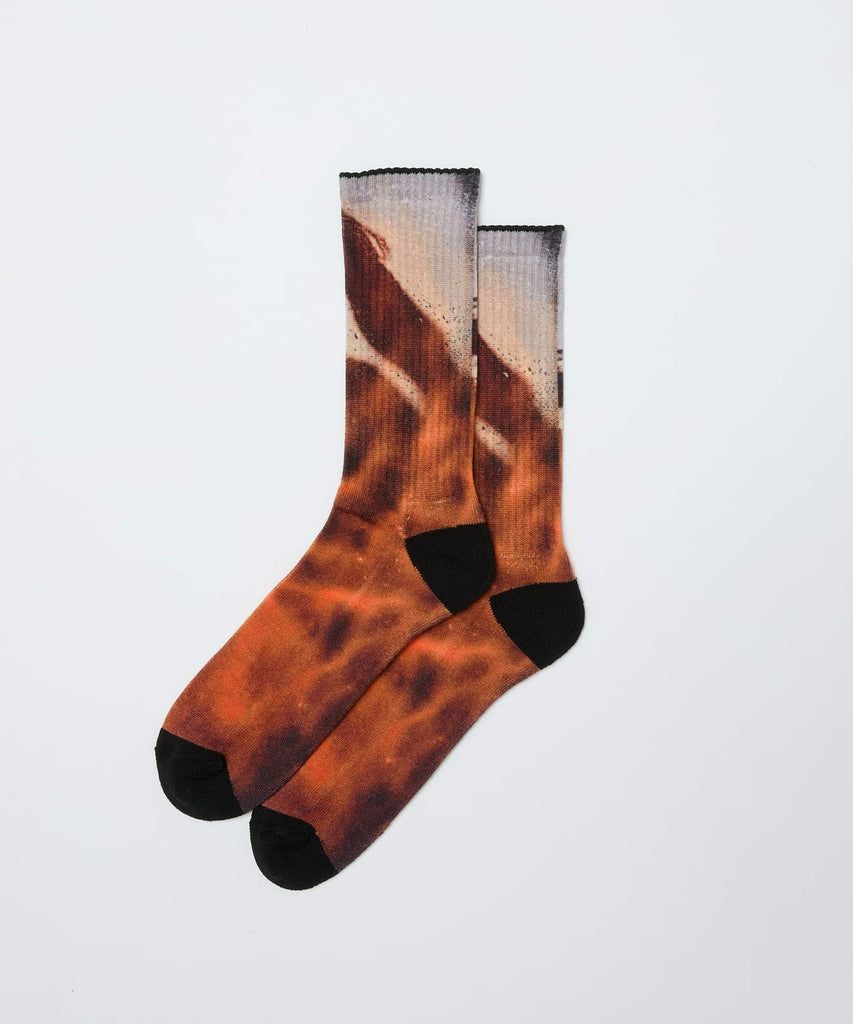 bal / WHIMSEY PRINTED SOCKS