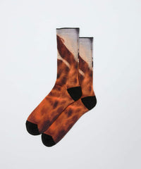 bal / WHIMSEY PRINTED SOCKS